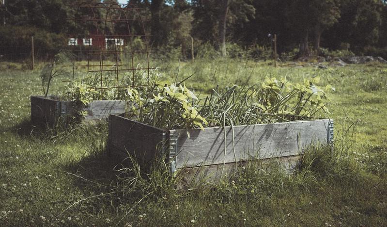 Folk Och Fae Hotel Grisslehamn Bagian luar foto